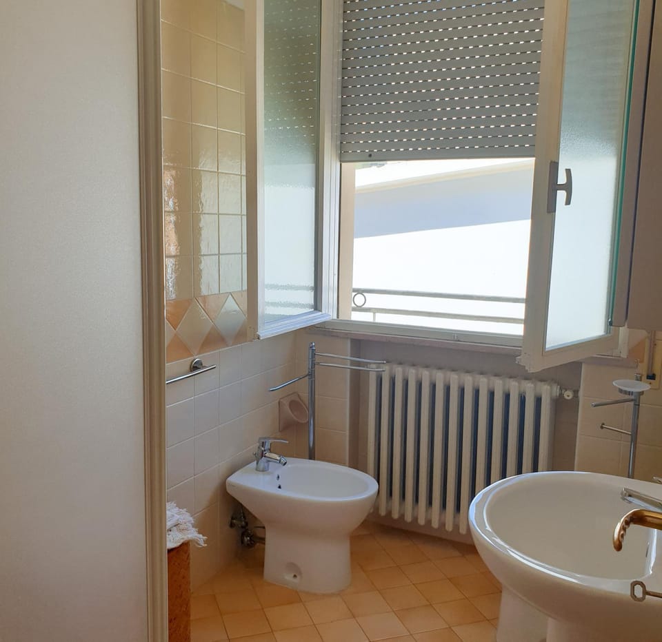 Shower, Toilet, Bathroom, bidet