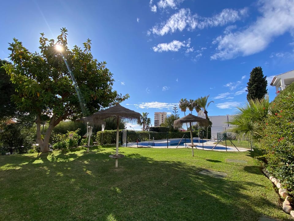 Garden view