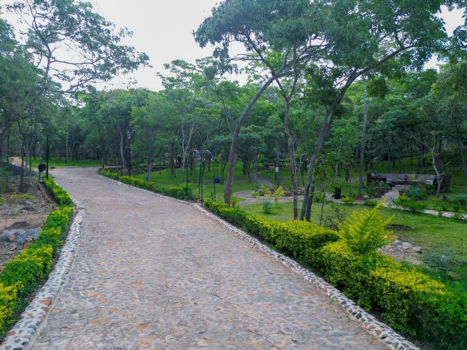 Your peaceful Darwendale getaway Nature lodge in Zimbabwe