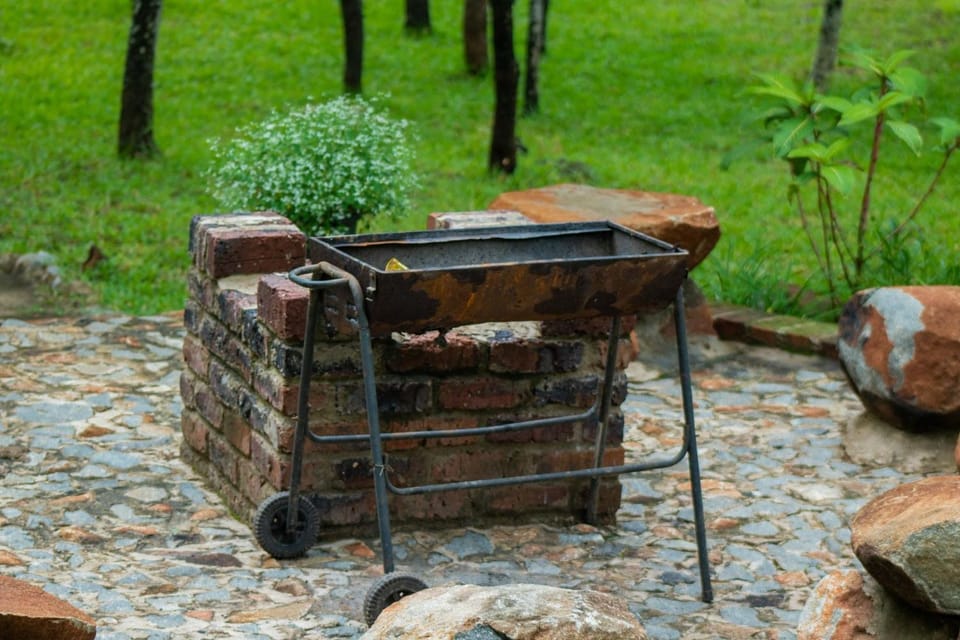 BBQ facilities, Food and drinks, Food