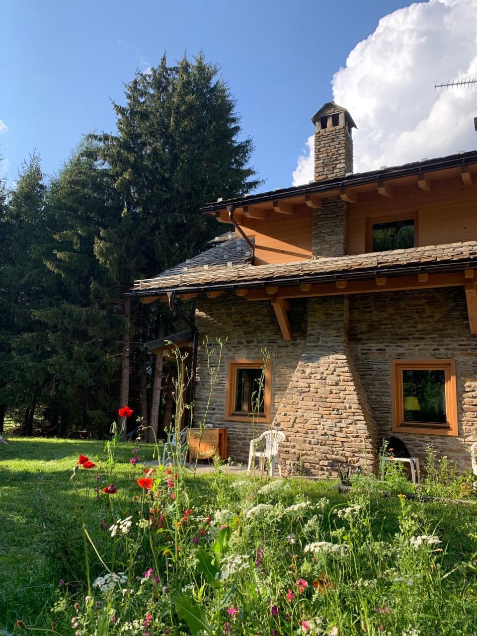 Garden view