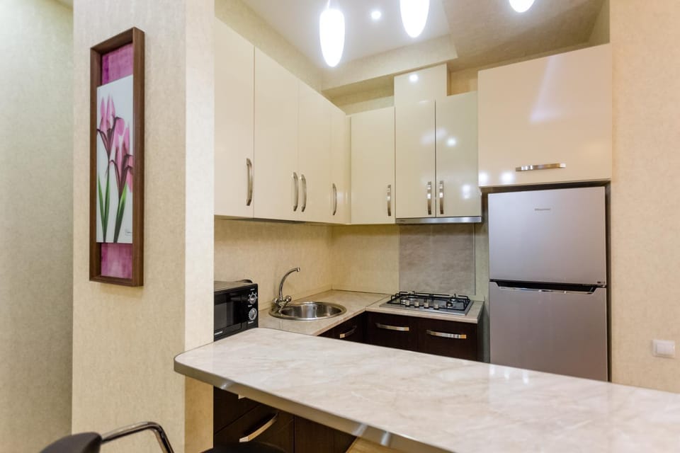 Kitchen or kitchenette, dishwasher, minibar, oven, stove