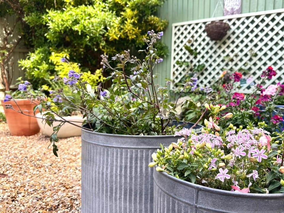 Hummingbird Cottage House in Eastbourne