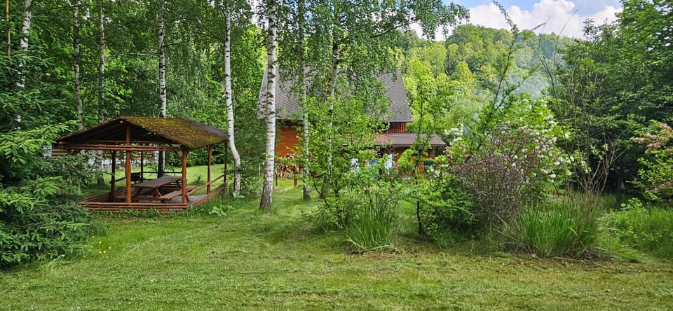 Natural landscape, Garden, Garden