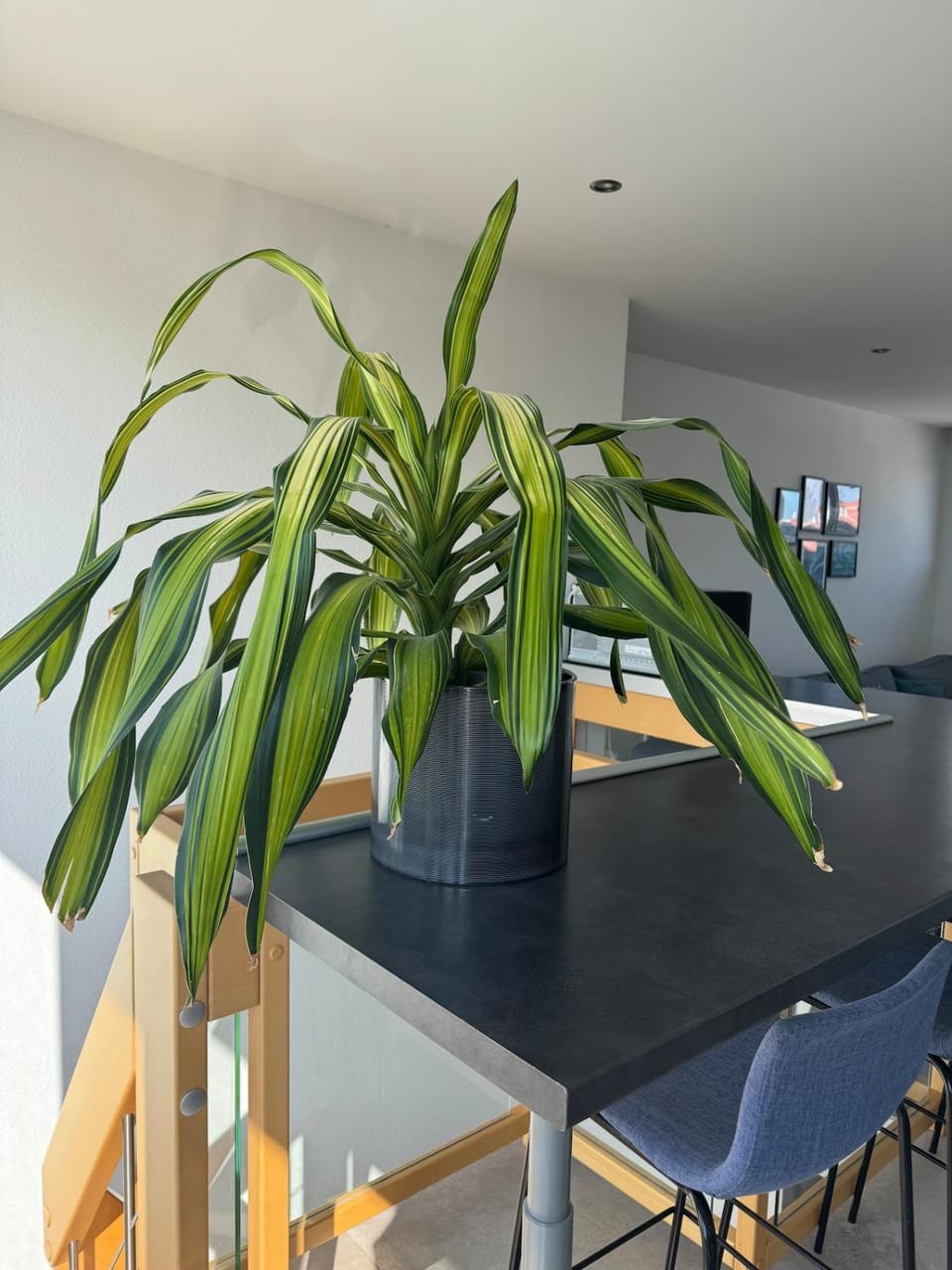 Duplex 70 sqm 5mn from Basel 1 free parking Apartment in Saint-Louis