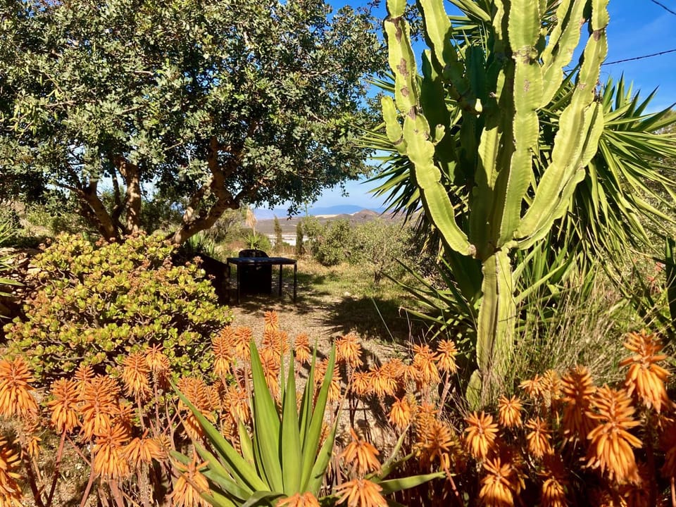 Cortijo Django House in Comarca Metropolitana de Almería
