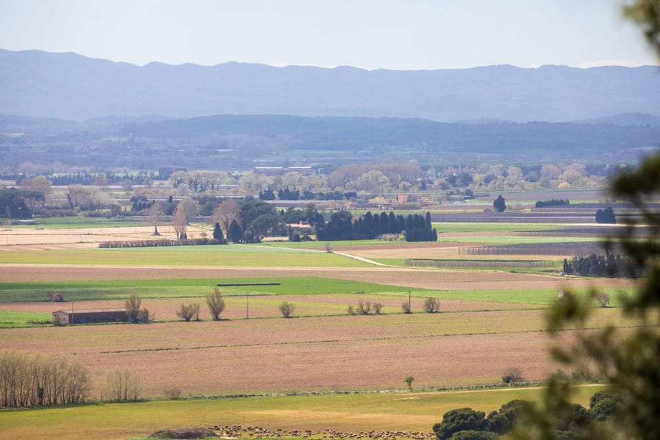 Natural landscape