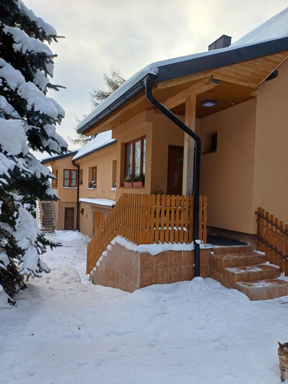 Property building, Winter