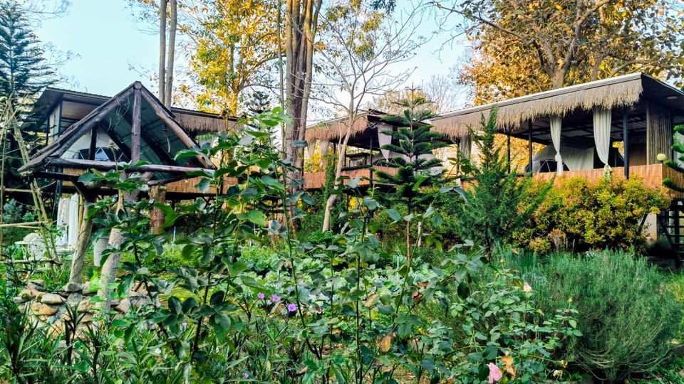 The Forest Camp Khaoyai เดอะฟอเรสแคมป์ เขาใหญ่ House in Thailand