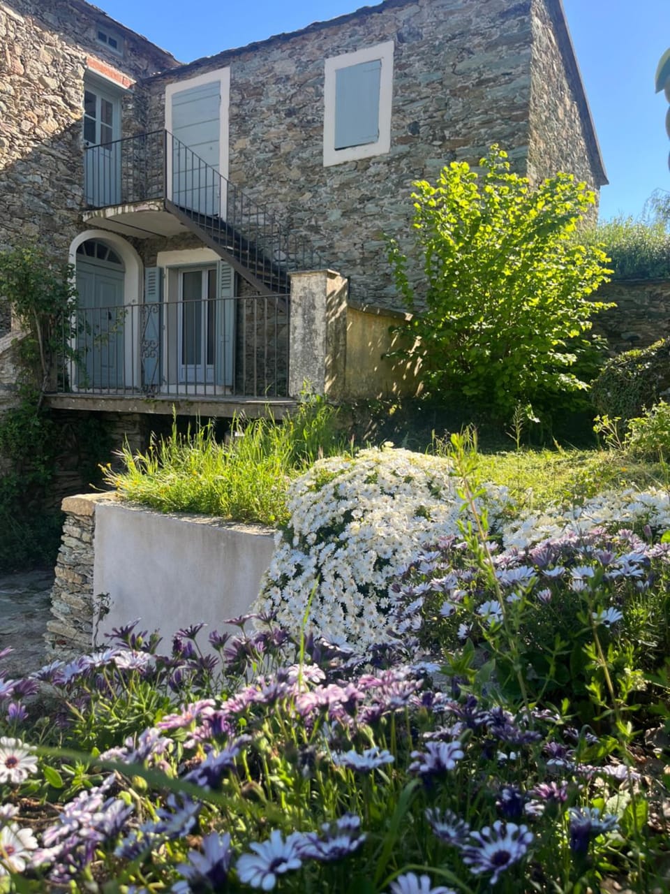Suite avec jardin et piscine Apartment in Corsica