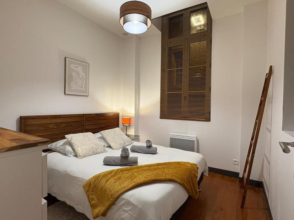 Le Blin-Thomas - Montauban's Historic Heart Apartment in Occitanie