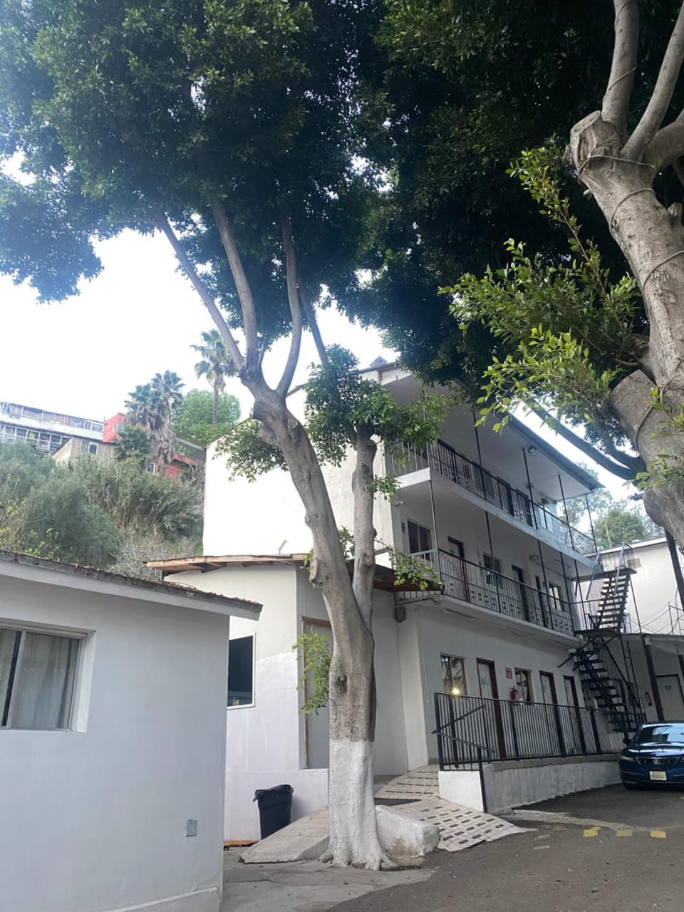 Hotel Del Bosque Hotel in Tijuana