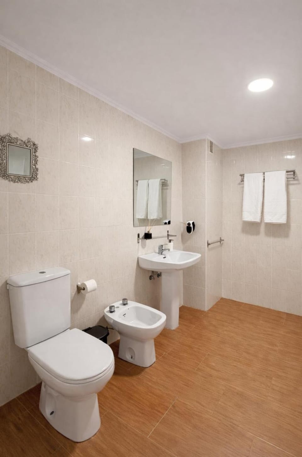 Bathroom, bidet, towels