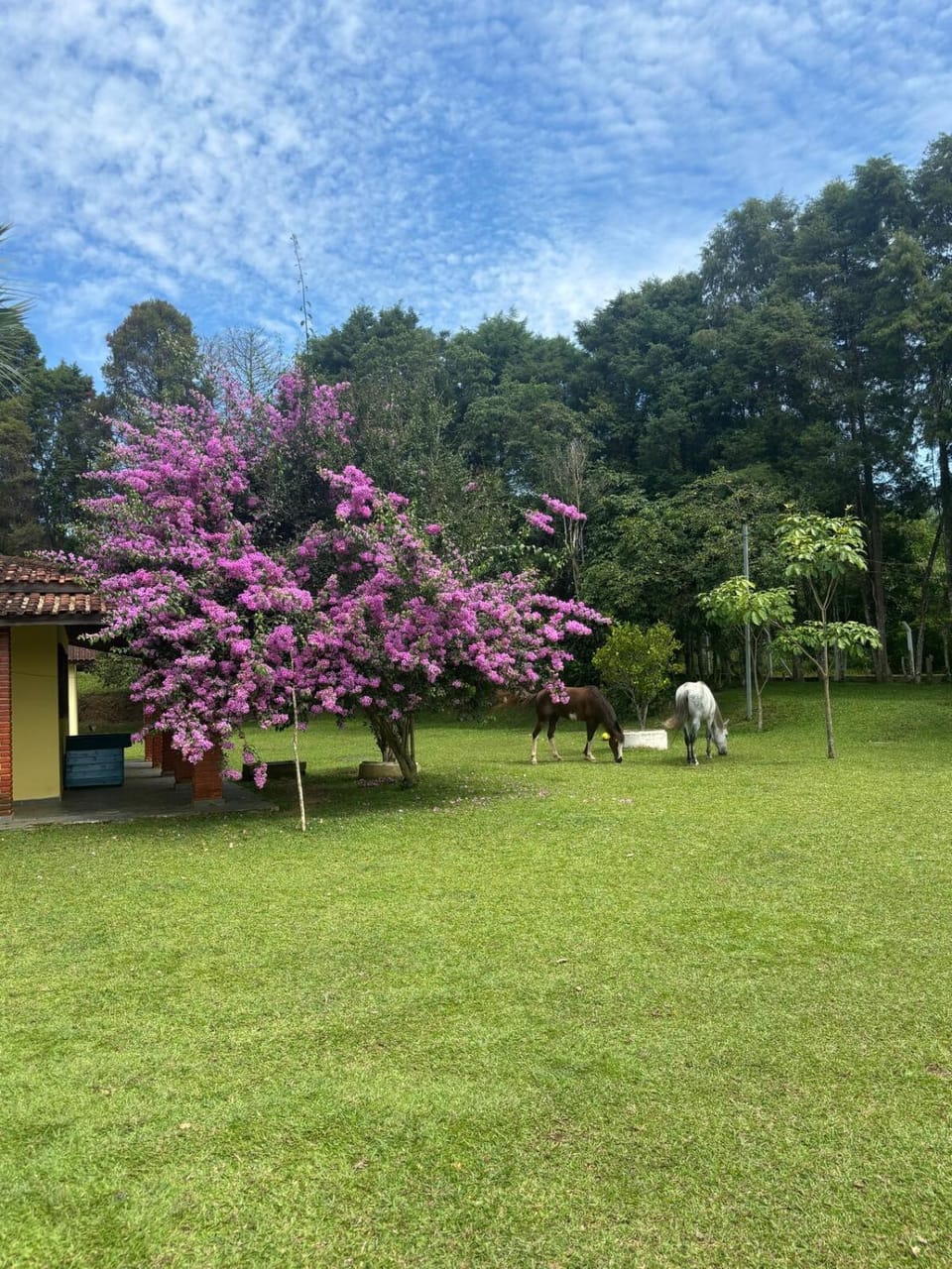 Recanto do Imponente House in State of São Paulo
