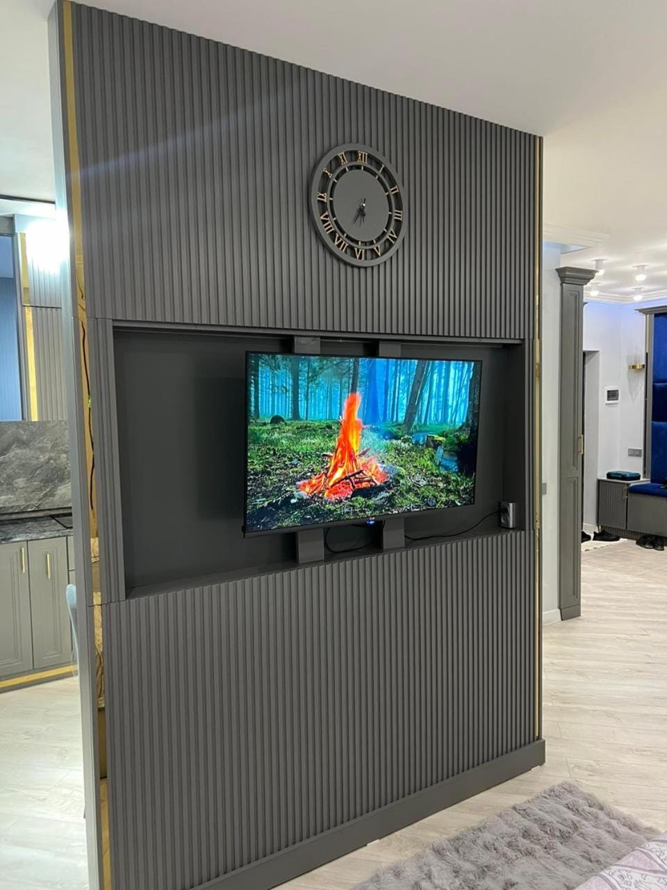 TV and multimedia