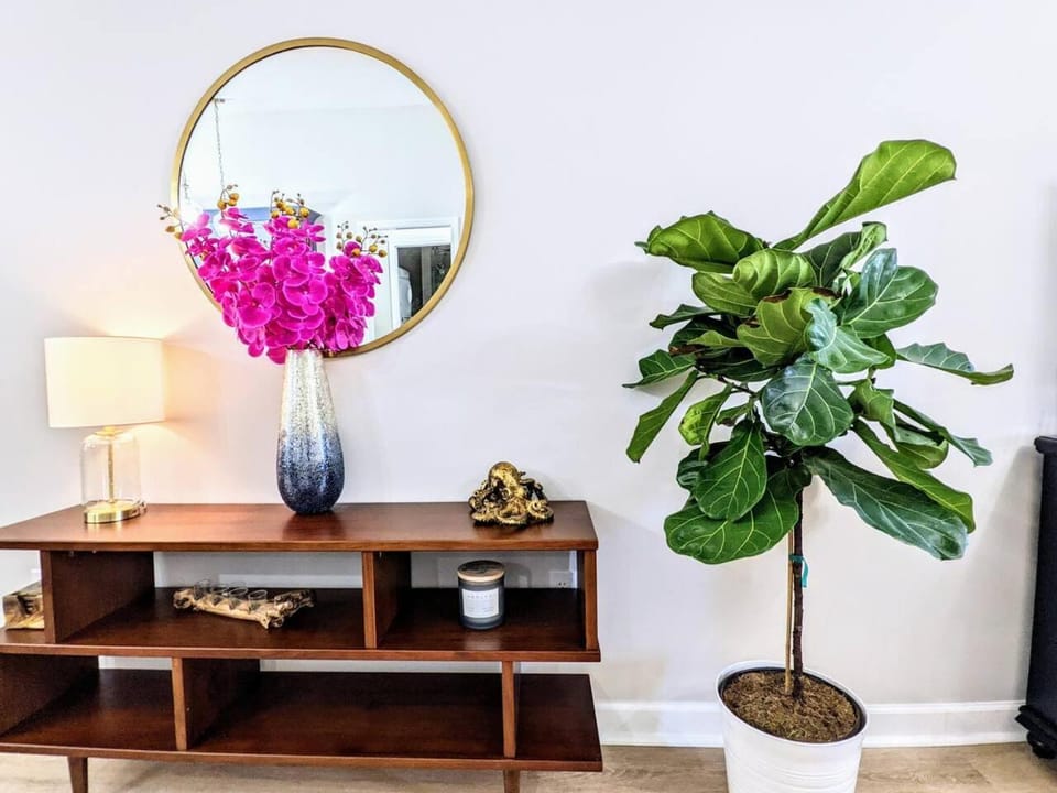 Modern 2BR Beachside Retreat-Steps from the Beach! House in Sunnyside