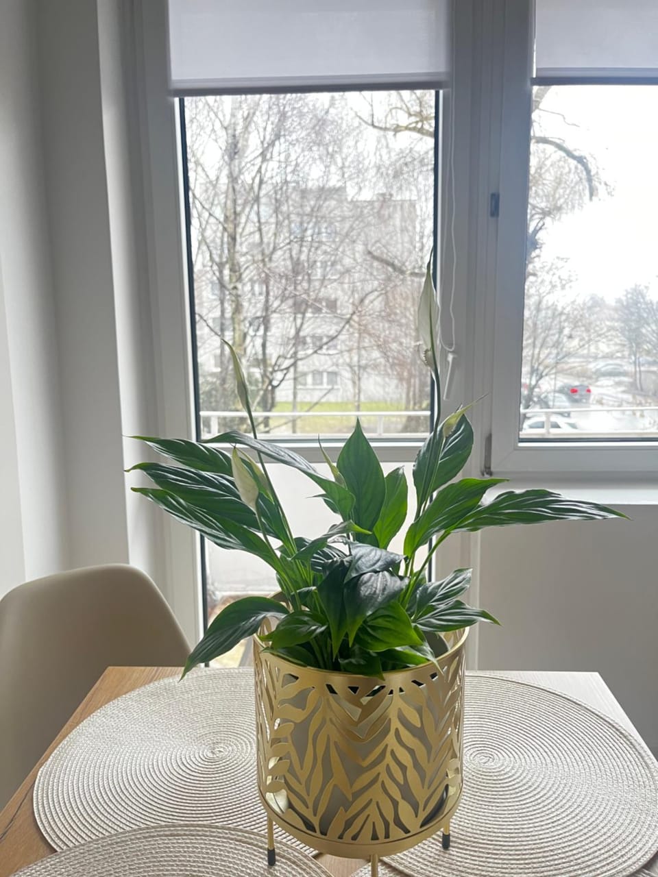 Apartament Rynek Strzelin Apartment in Lower Silesian Voivodeship