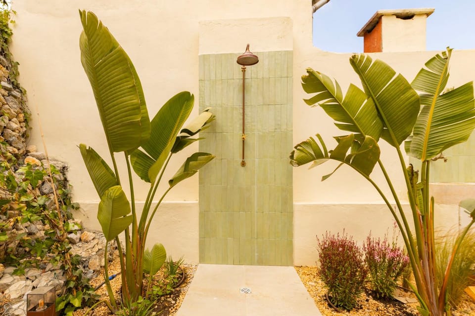 Day, Garden, Garden view