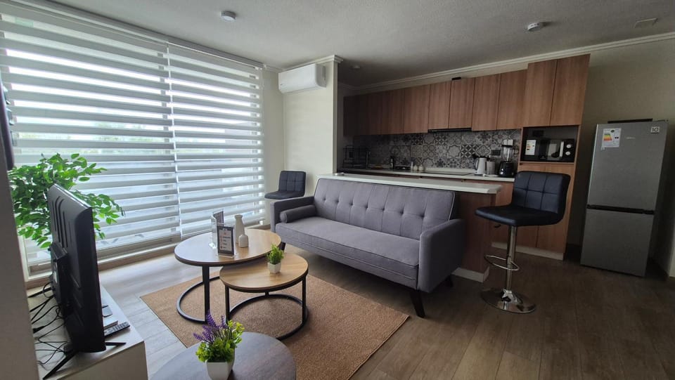 TV and multimedia, Coffee/tea facilities, Kitchen or kitchenette, Living room, Seating area, Dining area, oven, stove, toaster, air conditioner