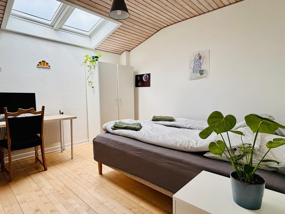 Bed, Photo of the whole room, Seating area, Bedroom, towels