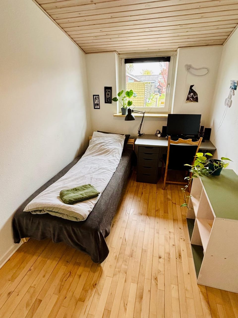 Bed, Photo of the whole room, Bedroom, towels