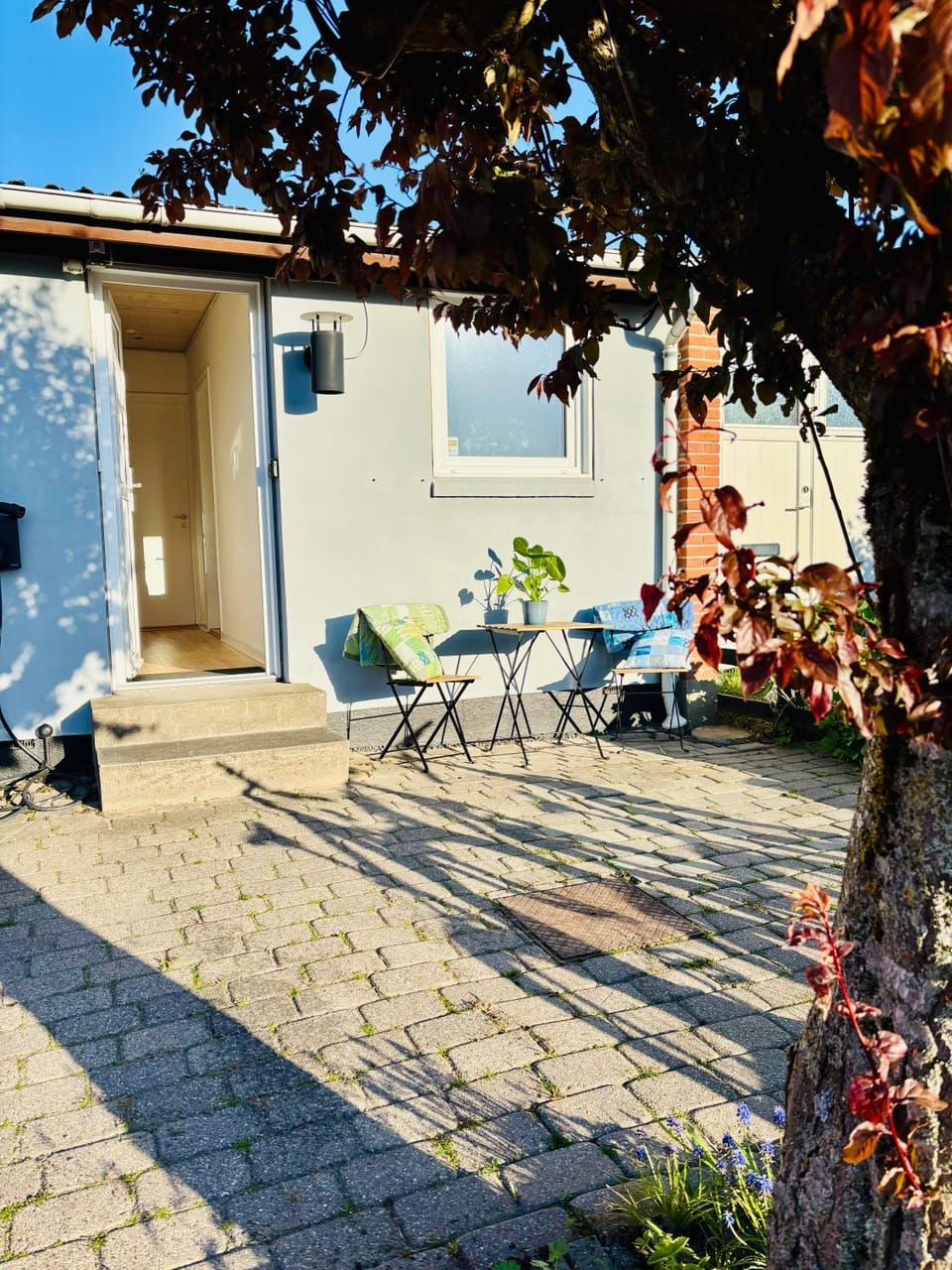 Patio, Facade/entrance