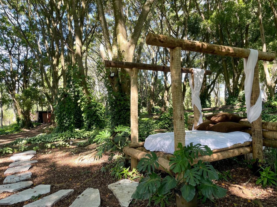 Natural landscape, Garden, Garden view