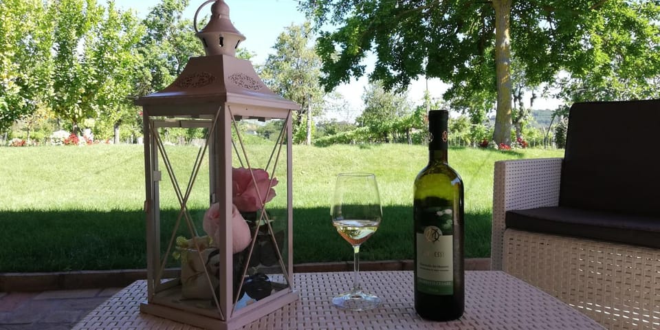 Garden, Drinks