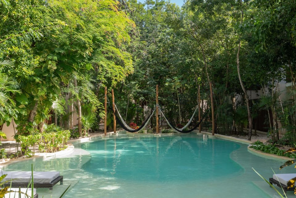 Day, Natural landscape, Garden, Garden view, Pool view, Swimming pool, sunbed