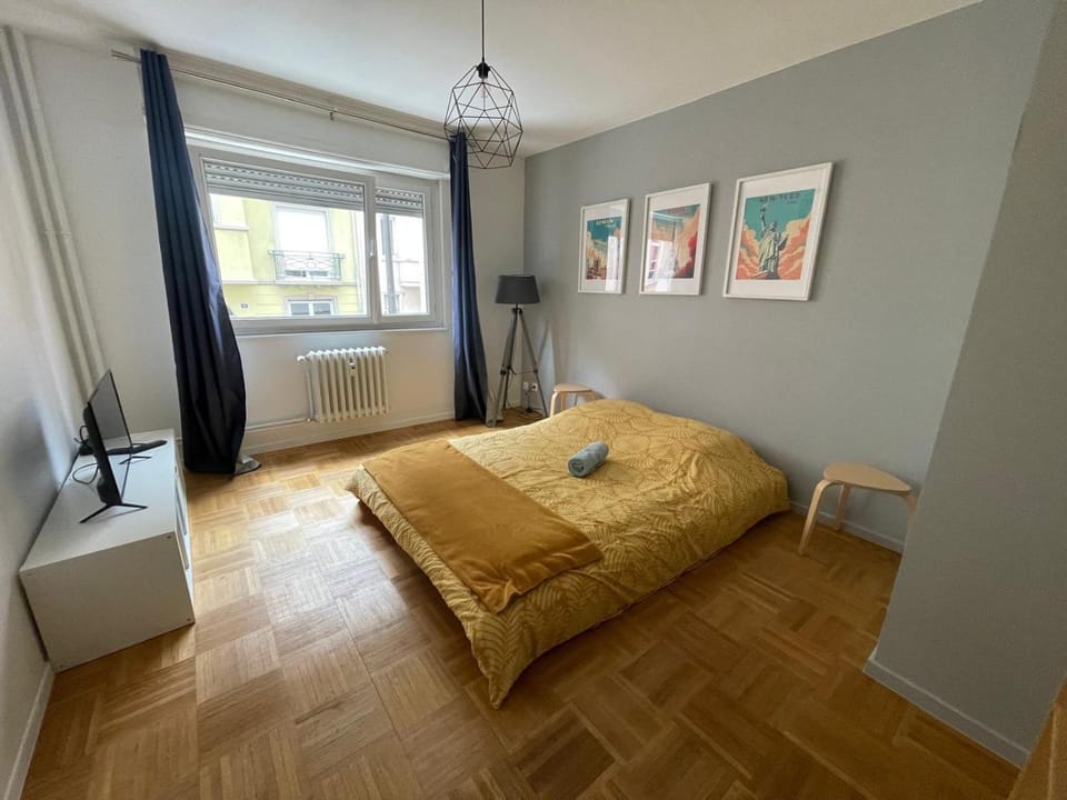 L Etoile De Strasbourg Apartment in Strasbourg
