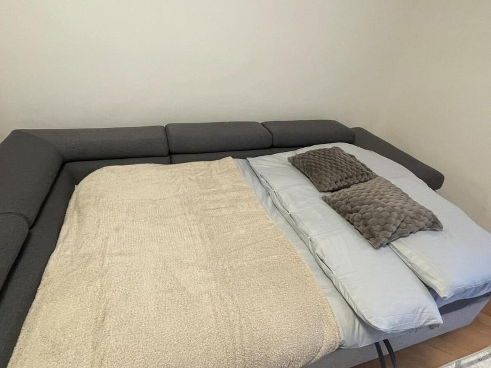 Olomouc Apartment Apartment in Czechia