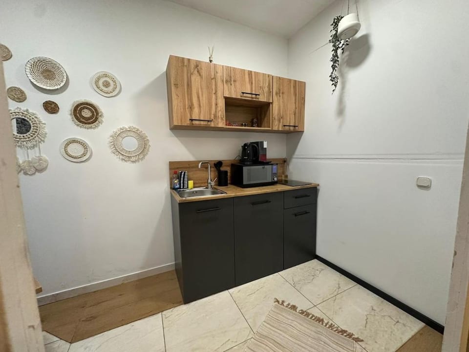 City Honor Extravagance Apartment in Linz