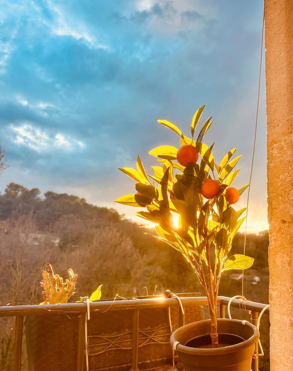 Cocon en Provence à Ménerbes Apartment in Ménerbes