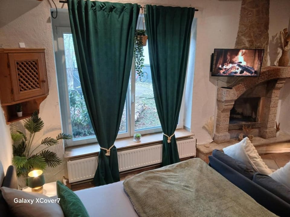 Green Oasis Stylish Garden Studio Workspace Apartment in Linz
