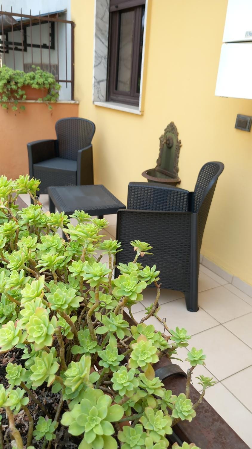 Balcony/Terrace, Balcony/Terrace