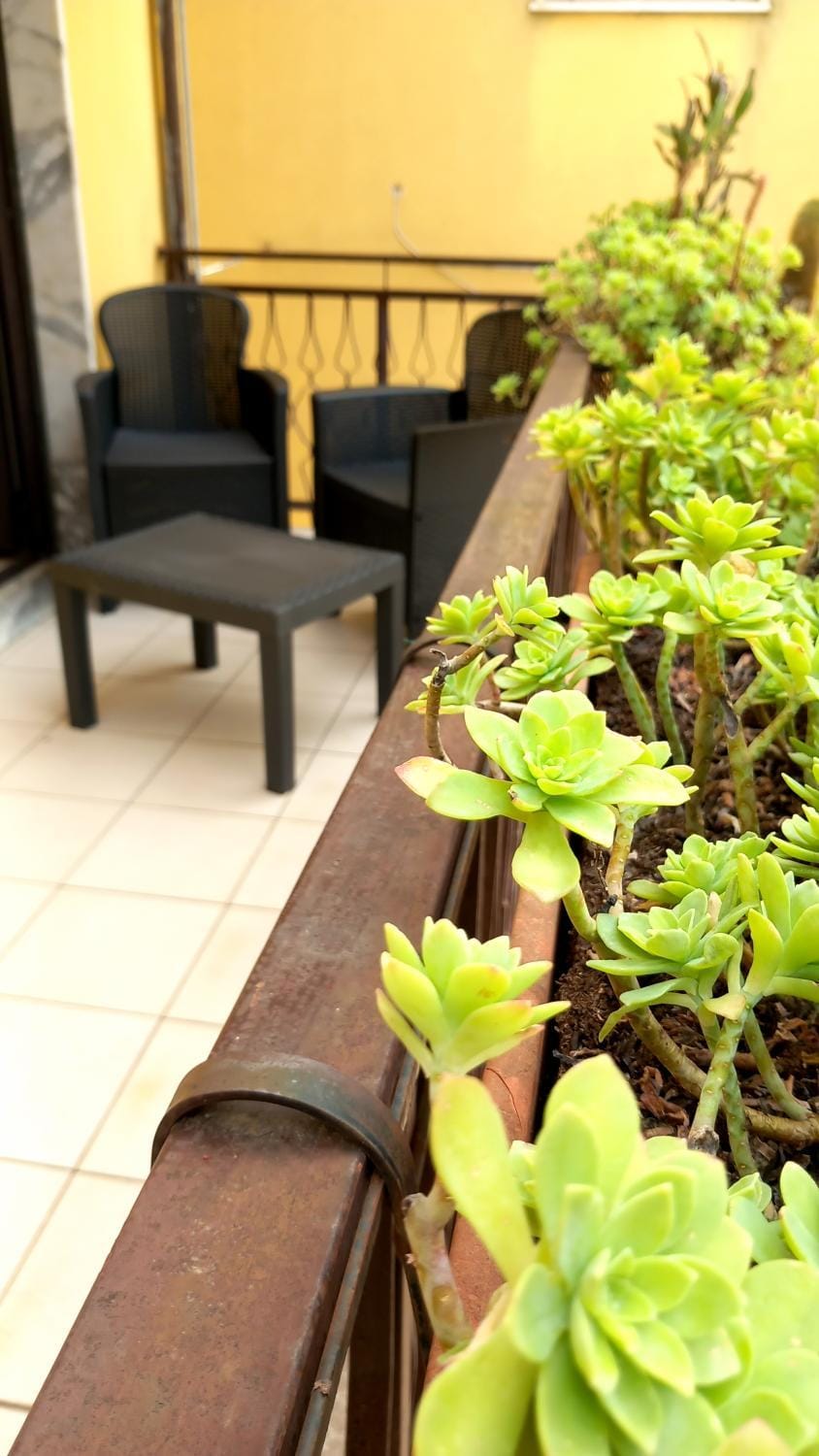 Balcony/Terrace, Balcony/Terrace, Living room