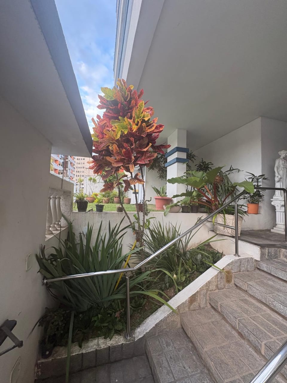 Property building, Day, Garden