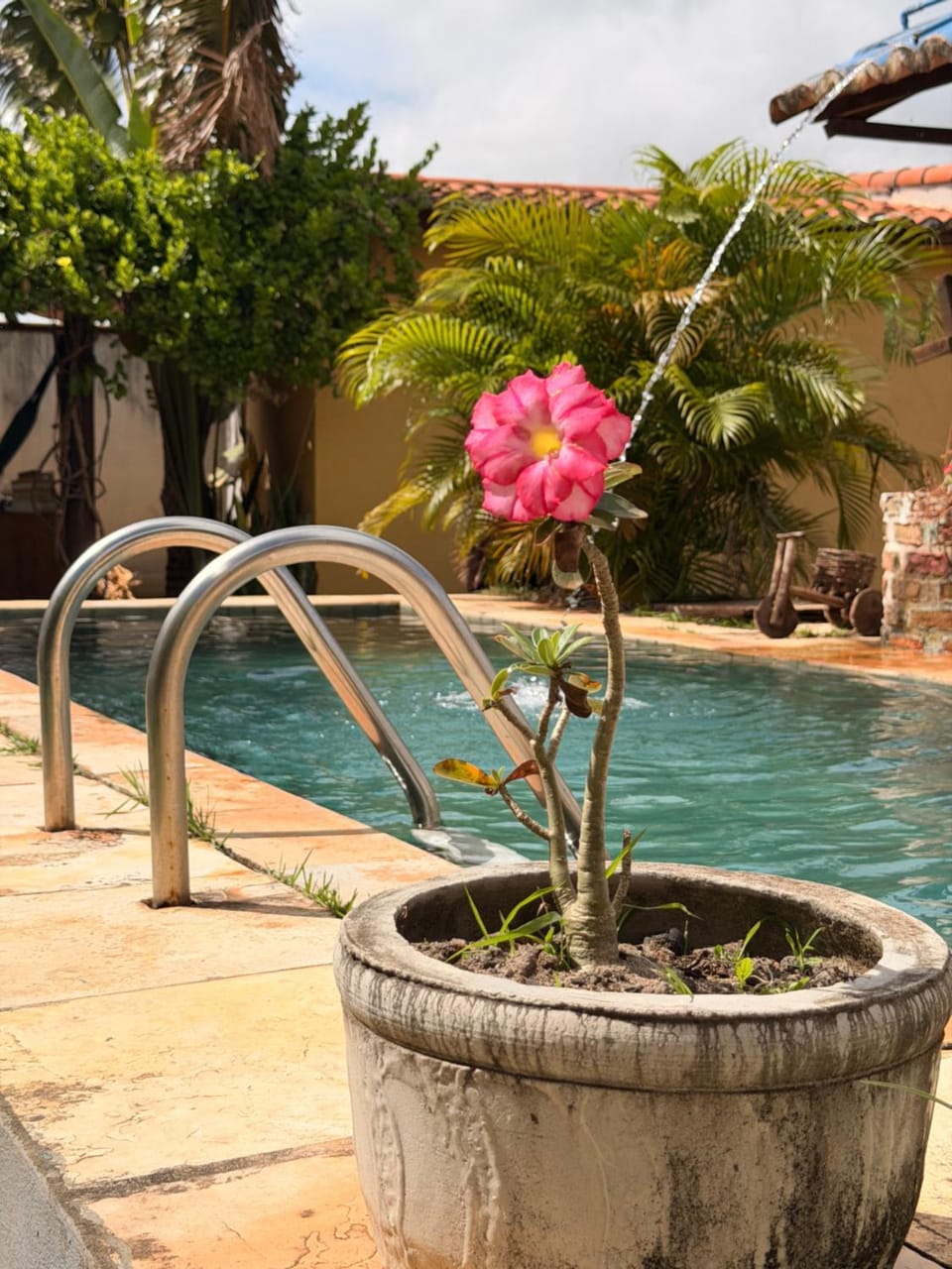 Casa 7 Mares Bed and Breakfast in State of Rio Grande do Norte, Brazil