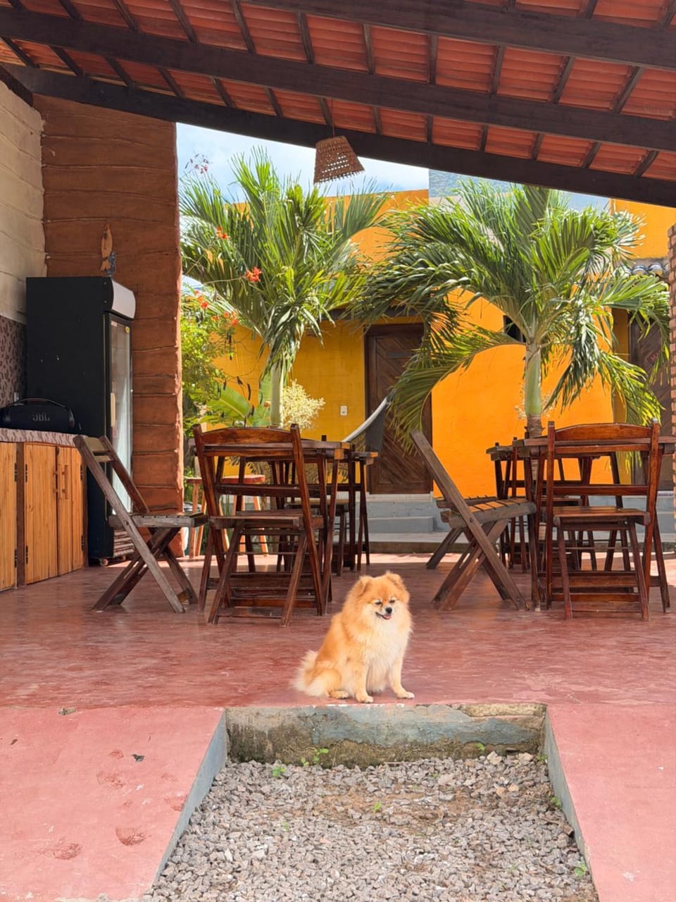 Casa 7 Mares Bed and Breakfast in State of Rio Grande do Norte, Brazil