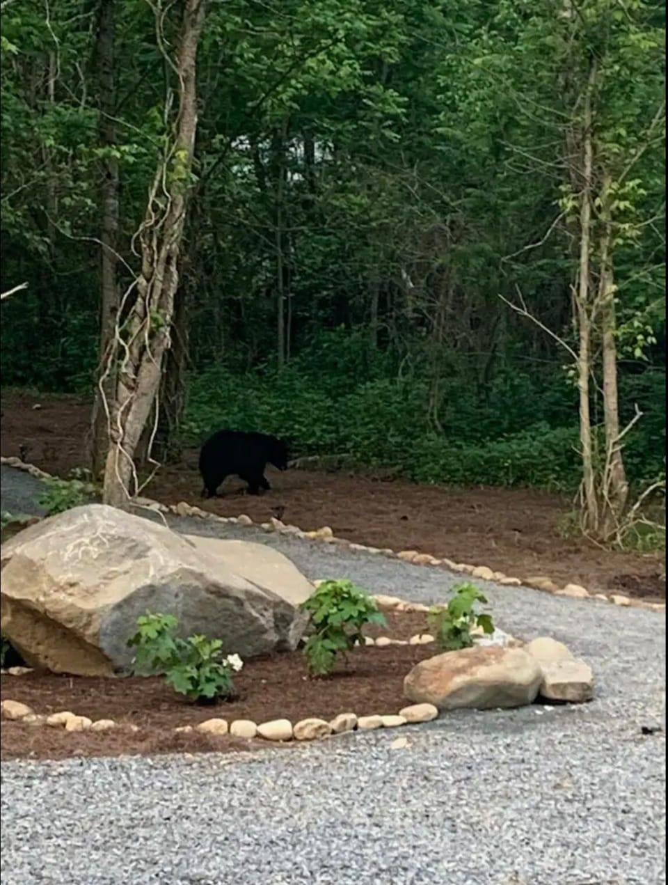 Stay At Soak Ash Creek Campground/ 
RV Resort in Pittman Center