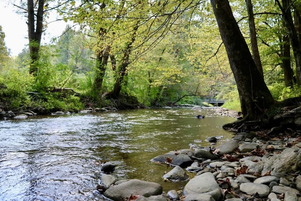 Stay At Soak Ash Creek Campground/ 
RV Resort in Pittman Center