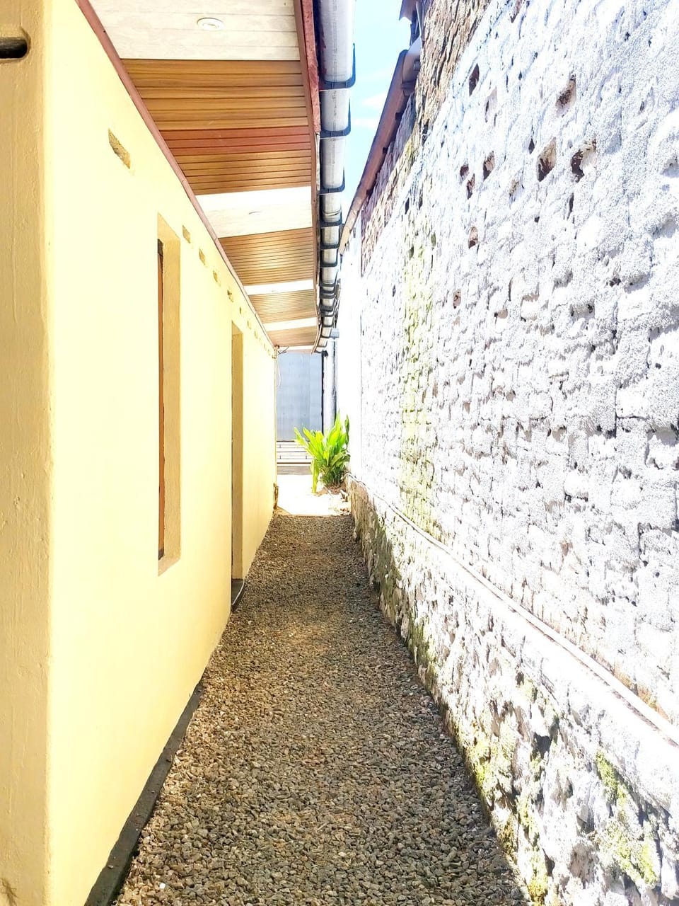 SAHA SURF CAMP & SURF school Hotel in Sri Lanka