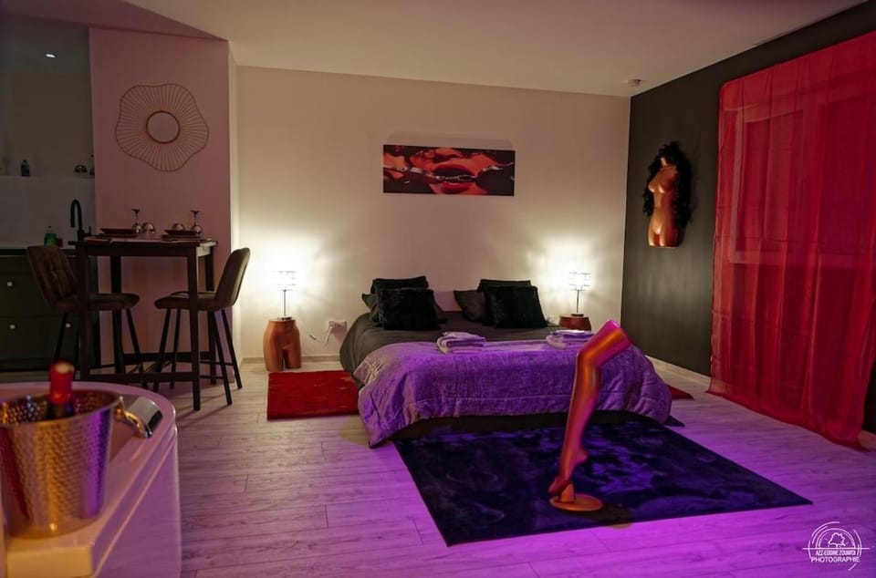LoveRoom Les Folies Douces & Spa Apartment in Nancy