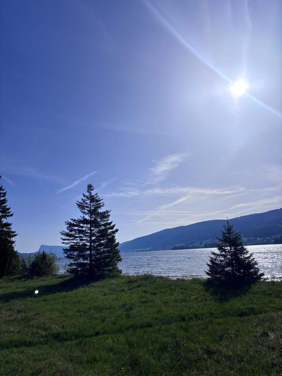 Lake view