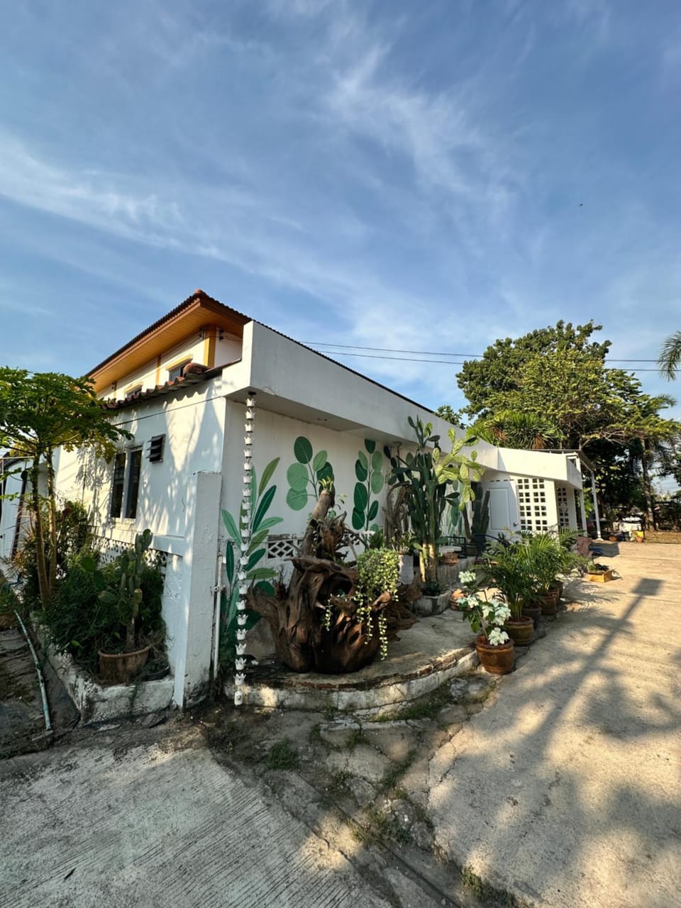 Property building, Garden