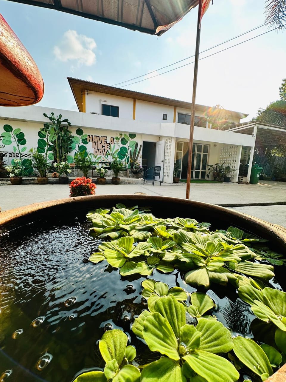 Garden, Inner courtyard view