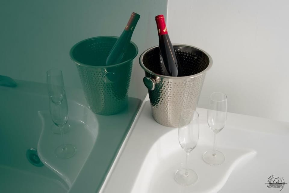 LoveRoom Le Loft & Garden Spa Apartment in Nancy