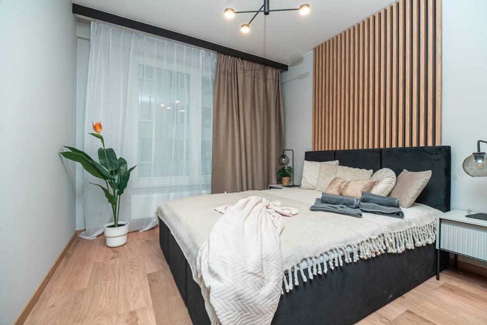 Bed, Night, Photo of the whole room, Seating area, Bedroom, flat iron
