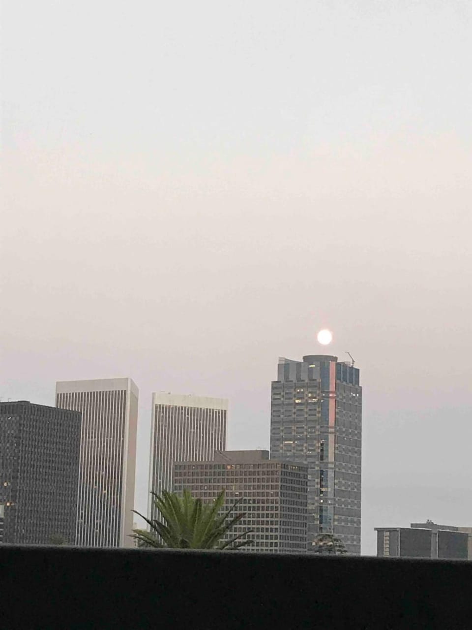 Fara UCLA Apartment in Westwood