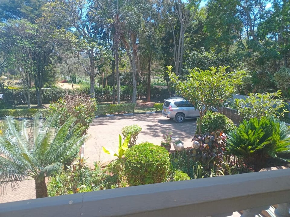 Natural landscape, Garden, Garden view